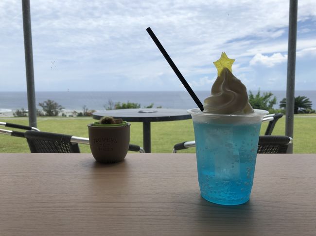 今年の夏休みはずっと行きたかったギリシャのザギントス島・ケファロニア島に行こうと1月にエミレーツを予約したが、この状況でフライトがキャンセル(もちろん出国もできませんが)。政府のGo to Travelキャンペーンが8月に開始hされると聞いていたが、7月の4連休に旅行したかったので7/21出発で予約したところ、Go to Travelキャンペーンが前倒しで7/22から開始。1日違いでキャンペーン対象外となりかなりがっくりしたが、キャンペーンで混みあう前に旅行できてよかった。<br /><br />奄美大島には友達と友達のお母さんと3人で旅行した。私は運転できないが、友達一家が交代で運転してくれたのでレンタカーで行動範囲が広がって楽しかった。奄美ではフルーツをしこたま食べようと思っており、マンゴー、ドラゴンフルーツを狙っていたが、出発前にマンゴーの旬がきたのか、あらかじめ申し込んでいたふるさと納税返礼品が徳之島、沖縄からダブルで到着して、出発前からマンゴー祭りが始まったので、若干マンゴーの有難味が減ったのが残念だったが、産地ならではのミニマンゴーも満喫できてよかった。