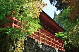 新緑に包まれる天台宗の聖地・比叡山延暦寺巡拝記《Part.1》～坂本ケーブル・横川編～