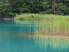 裏磐梯　歩いたあとは温泉でぬくぬく①五色沼