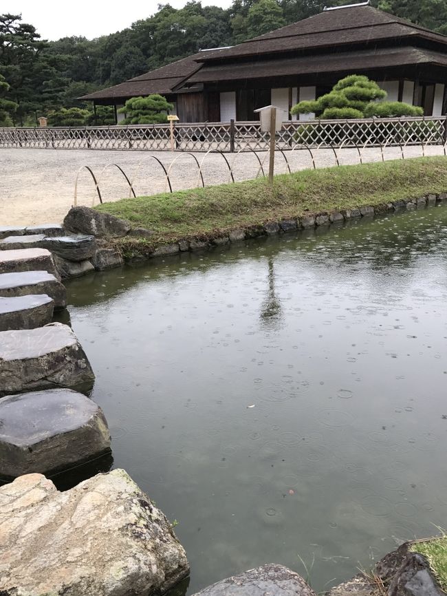 倉敷親子旅の3日目<br />あいにくの雨模様、金刀比羅宮に行く予定を変えて<br />雨でも歩きやすいかなと栗林公園へ来てみました。<br /><br />文化財指定で日本一の大きさを誇る特別名勝栗林公園。<br />紅葉には早い平日、雨模様のためかどこも貸切状態。<br />掬月亭では静かな日本庭園を眺めてお抹茶をいただきました。<br />その掬月亭で思わぬサプライズに遭遇しちゃいました(゚∀゚r<br /><br />表紙写真は<br />小雨の栗林公園涵翠池と掬月亭です。<br /><br /><br />