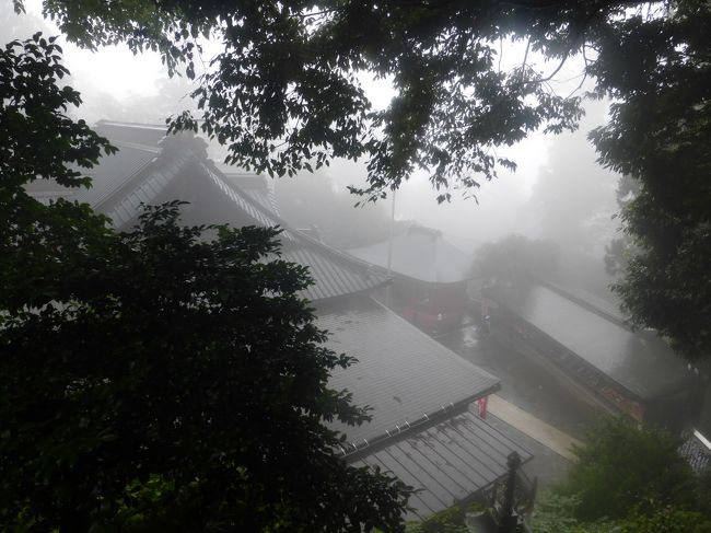 雨の日の登山はお薦めしません。(^^♪<br />曇りになると思って別の山に行く予定でしたが、雨が止みそうになかったので、予定変更し、高尾山に行きました。<br />６号路、稲荷山コースを登りました。びしょびしょになりながらの登山、雨の景色、これはこれで楽しみました。長い階段が滝のようになっており、まさにカスケード。<br />頂上で休もうとしましたが、屋根が有って、座れる場所が有りません。薬王院へお参りしました。ケーブルカーの頂上駅近くにお店がいくつも有り、10時過ぎたので、それぞれ開いていました。こんな天気だったので、生ビール！山上でのビール、最高でした！