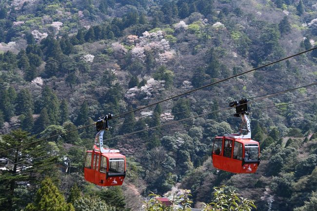 御在所岳に、ロープウェイ横の登山道から頂上まで登り、帰りはロープウェイで帰ってきました。湯の山温泉の彩向陽に泊まってのんびり温泉につかってきました。