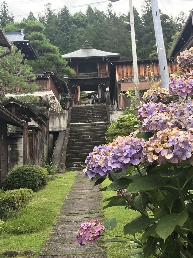 飛騨高山の旅【４】高山市内散策、三町、麵屋しらかわ、東山遊歩道、日本酒酒蔵巡り