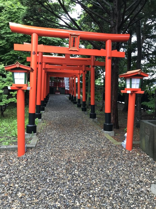 今だ函館 1日目 神社 香雪園 市場 ラッピ 高原 摩周丸 セコマ アイス 夜景 ライトアップ