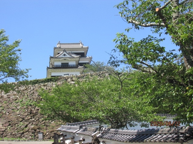 時間はもう2時を回っている。この時間から佐田岬先端までの片道１００数十キロ、往復３００キロを運転するのはきつい。今日の泊りは内子で、初めて行くホテル。行きつくころには夜になってしまう。何も原発を見ることもないだろう。鹿児島川内でも宮城女川でも、直ぐ近くまでは行ったが、サイトまでは見ていない。随分以前に三方五湖へ行った帰りに敦賀原発は見てきた。ここでまた、佐田の三崎へ行って、伊方の原発を見てこなくても良いだろう。原発はもう過去のものだ、夢がある訳ではない。それに真珠養殖の筏と言っても、宇和海でまだ養殖されているかどうかも分からない。安い中国パールに押され、日本の真珠業界は滅茶滅茶だ。真珠が良いか珍珠が良いか・・。中国一辺倒であってはならないと思うのだが・・。<br /><br />八幡神と八幡浜。思いは尽きないが、内子に向かおう。最後にもう一度フェリー乗り場から段々畑のミカン畑を見る。輪島の千枚田は国の名勝、農業文化遺産として登録されているが、八幡浜のこの空まで届くような段々畑も文化遺産に登録されても良いだろう。人々のたゆまぬ努力の結晶。それは千枚田にしてもここにしても同価値だ。再び車を走らせ、市内中心部の三差路、先刻は右手の県道を下り降りてきたが、今度は真っすぐ直進し、山間部に向かう。卯之町から来た時は山を下り降り、内子に行くときは山を上りあがる。この辺りの地形、山容が案外海岸近くまで迫ってきているのだ。<br /><br />内子までのルートマップを見ると、途中に大洲がある。ああ、忘れていた。と言うか、ハタと思い出した。藤堂高虎が四国に築城した3か所の城の一つがこの大洲にあるのだ。これは時間を割いても是非寄らなければ・・。坂道を登り切り、峠に差し掛かり、道路が、これは八幡浜と大洲を結ぶ県道なのだが、次第に下り坂になって、前方が開けてくる。ああ、大洲は盆地の町だったのだ。名前からして中洲か川州の平坦地を想像していたが、ここは宇和と同じような盆地だったのだ。こじんまりした牧野のような盆地が前に開け、平板な町がいっぱいに広がっていて、その県道の直ぐの取っつきの所に大きな4階建ての白亜の病院が見え、看板を見ると大洲市立病院となっていた。<br /><br />狭い、昔風の町の中に入り、今は寂びれた大洲銀座と書かれた、多分今はもう使い物にならない大きな電飾看板の通りを抜けると、お城の前の駐車場に出た。今朝宇和島城の駐車場で他の駐車車両を全く見なかったが、午後のこの時間、この大洲城駐車場も同様に駐車している車はなかった。県境移動が自由になって二日目、まだ人々は観光気分には慣れないのだろう。駐車場からは直ぐに本丸に向かう坂道が始まる。存外懐の狭いお城だ。三の丸もなければ二の丸もない。いや、昔はあったかも知れないが、それ等は皆住宅に変えられ、裸にされてしまったのだ。この駐車場のすぐ前、以前の二の丸辺りには大きな市民会館の2階建てビルが建っていた。<br /><br />大手道はアスファルトで舗装され、回廊のような漆喰塀は、全体に新しい。ここも又近年になり、観光を当て込んでの化粧直しをしているに違いない。しかしそれもこれもこの突然降って湧いたコロナ禍で、全ての目論見は水泡に帰したかに思えるが・・。坂の途中から天守閣の一部が見えてきた。6月の太陽光に燦燦と輝いているようだ。お化粧直しによって、４００年前の輝きを取り戻している。いや、オリジナルよりももっと綺麗になっているかも知れない。誰もいないと思った城内にも市役所の職員と、作業用ジャンパーを着た業者が数名、何かを打ち合わせしている。ああ、何だ、ここまで車で来れたのか・・。その、今はない大手門跡を通り過ぎた先が本丸だ。新ピカの本丸ではあるが、優美な姿だ。どこのお城も大体美的センスは高いが、ここのお城は更にそれを越えている。芸術的ですらある。戦いの拠点、攻防の要である本丸も、戦国が終わり、平和の世になって、芸術品、巨大オブジェに昇華した。