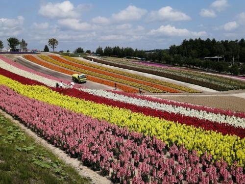 ’２０　夏の北海道旅行５　美瑛サイクリング①　美馬牛駅～四季彩の丘（前半）