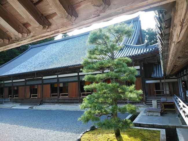 東北２０２０夏旅行記　【３】松島３（瑞巌寺）