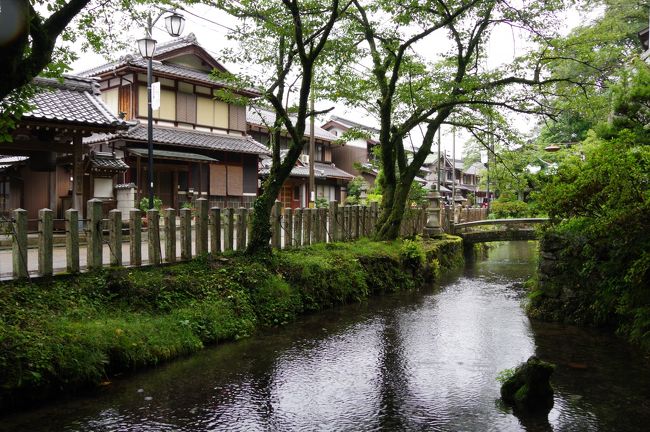 バイカモで有名な宿場町・醒井に行ってきました。<br />前線が停滞し各地で大雨。<br />醒井の地蔵川も増水してました。<br /><br />見るだけなら1~2時間あれば大丈夫だと思います。