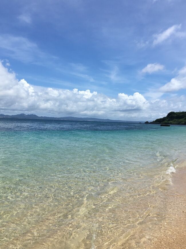 一年前から予約をとっていた沖縄旅。新型コロナの影響で行けるかどうかの瀬戸際でしたが、当初の計画より日程を縮小して行ってまいりました。<br /><br />賛否両論あると思いますが、極力3密を避け、行く先々で感染対策を一生懸命されていたので安心して楽しむことができました。