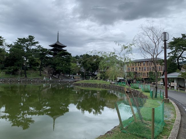 数十年ぶりの奈良！その１　猿沢池畔のホテルに泊まって定番観光。東大寺、春日大社、ならまち