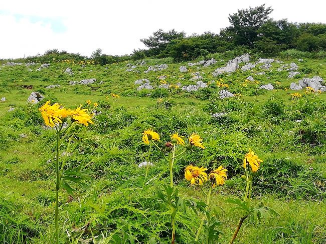 高知と松山へ行く その3<br /><br />高知城~四国カルスト~砥部焼~松山城~道後温泉
