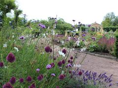 Göteborgのローズガーデン 1