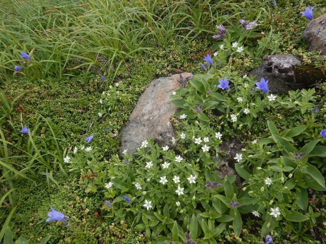 2020 雪と花の鳥海山へ