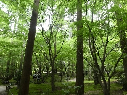 コロナ流行がなければ北欧に行く予定だった4連休。<br />海外は諦めたけど、国内は行けそう?と思って山形と宮城の宿をとったものの<br />またコロナが増えて来て行っていいんだろうか?<br />ギリギリまで迷ったけど、思い切って行ってしまいました。<br />行くからには楽しもう!<br />と思ってはいたんですが、予想外に梅雨が長引き、予報では雨。<br />でも、意外と天気は良かったです。<br />持ってる母と娘の二泊三日東北旅行紀です。
