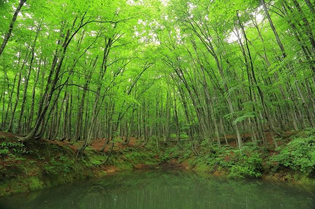 7月22日～24日連休を使って久しぶりの遠出、新潟県を廻ってきました。<br /><br />ゆっくり無理せず楽しんできました。<br /><br />天気も丁度良く、とても綺麗な所ばかりでした。<br /><br />