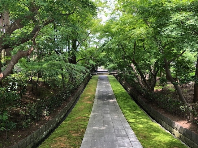 藤沢周辺(辻堂~大庭~渡内ほか)の神社、寺院を歩いて回りました。<br /><br /> 辻堂:本立寺ほか<br /> 大庭:大庭神社ほか<br /> 渡内:二伝寺ほか<br />