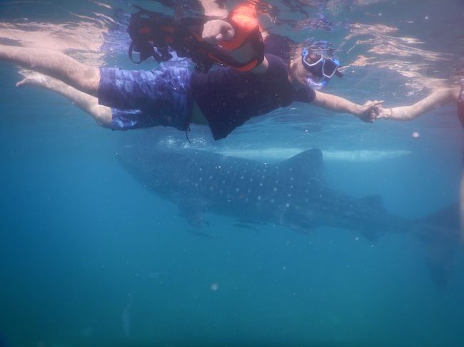 ジンベイザメ と一緒に泳いで写真が撮れるらしいよ!?<br />そんな事からフィリピンへ行く事になり、台湾から2泊3日の旅にGo!!
