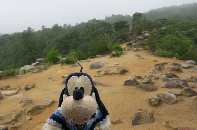 グーちゃんだよ。<br />鬼ノ城の城壁は２．８キロ。<br />雨の中、さすがに歩いてるバカはおらず・・・。<br />だけどグーちゃんとそんな腰抜け連中と<br />一緒にしてもらっては困るの！<br />さて歩き始めて1時間。<br />南門、東門、そして中間地点と思われる<br />屏風折れの石垣に到着！