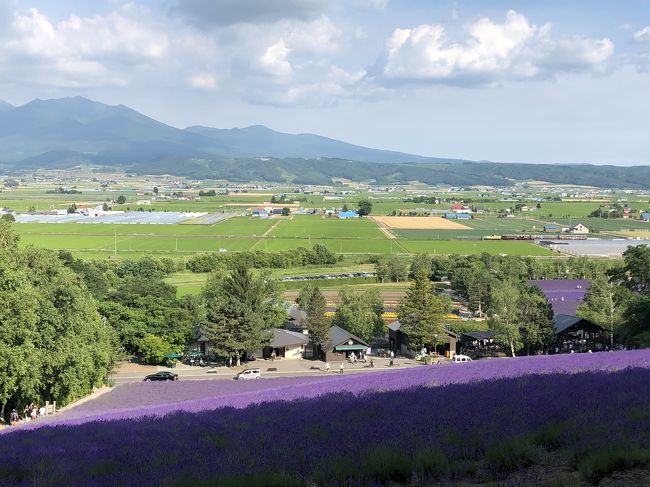 今回もどこかにマイルで行く旅。<br />コロナ禍におけるGotoキャンペーン直前とあって、宿泊代や現地旅行代金は全く割引なし!<br />縁あって、福岡、宮崎、熊本、新千歳の中から新千歳が当たりました。<br />九州ならJR乗り回しと(特急新幹線乗り放題5000円など)行きたかったとことですが、当たったのは新千歳!<br />一方北海道のフリーきっぷは期間の前ということで何とも歯がゆい旅でした。<br />しかし、シーズンとしては最高の北海道!この時期ならではのものを見つけに出発です!<br />二日目は、ようやっと再開されたバスツアーで、定番の旭山動物園、美瑛四季彩の丘、美瑛青い池、ファーム富田を巡ります。<br />さて、今回の旅もどうなることやら。