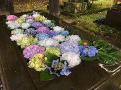 埼玉・行田の花手水2020②～埼玉の地名由来の前玉神社の花手水～