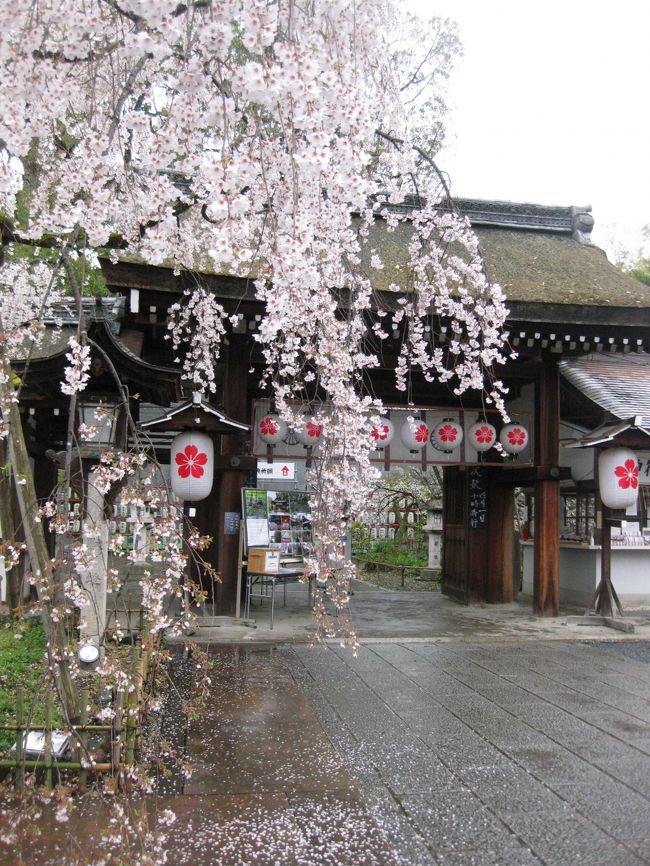 古都お花見・京都滞在二日目は龍安寺方面に行きましょう。<br /><br />インクラインで写真を撮っていたら、いきなり地元の方が「あんた!何写してんの!!」と怒りの声が・・<br />「景色です、カメラの映像確認しますか」(自分は瞬間湯沸かし器ですが、優しく言いましたよ)と言うと「急いでいるから」と去って行きました。<br />一体何だったのか??<br />きっと大勢の観光客が来て、ところかまわず写真を撮って迷惑しているのかな?<br /><br />母は失礼な!!と凄く怒っていましたが、気にしないで楽しく行こうね。<br />