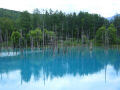 ’２０　夏の北海道旅行１１　美瑛駅から青い池にバスで行く