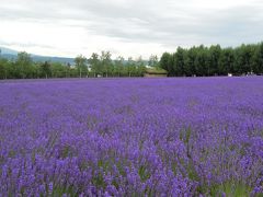 7年ぶりの北海道旅行