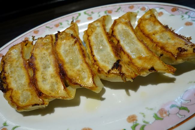帰宅して少し調べ物とか。も少し休んで、すっかり日が落ちてから晩ごはん探し…二軒ほど満席と言われ…土曜日でしたね。で有るならば、ウロウロ探し回るよりは、宿の近所の王将へ。<br /><br />旅先で全国チェーン店は避ける事が多いけれど…まぁ、本拠地の京都です。本店では無いけれど。