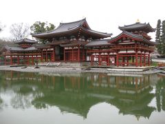 今年のお花見は古都・奈良と京都で楽しむぞ～京都編三日目