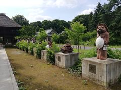 たぬき2号がたぬきゆかりの街を歩く　 vol.9 　「分福茶釜の茂林寺2020」　　～館林・群馬～