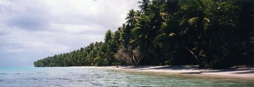 ポナペ 2006夏』ポナペ（ポンペイ）(ミクロネシア)の旅行記