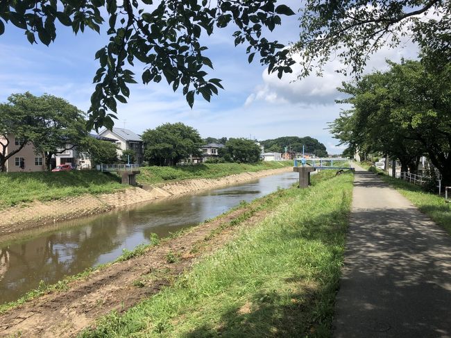 秋田にも短い夏が。。。