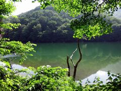 コロナより、長雨に祟られた、恒例夏の東北ドライブ旅行　2. 白神山地、十二湖