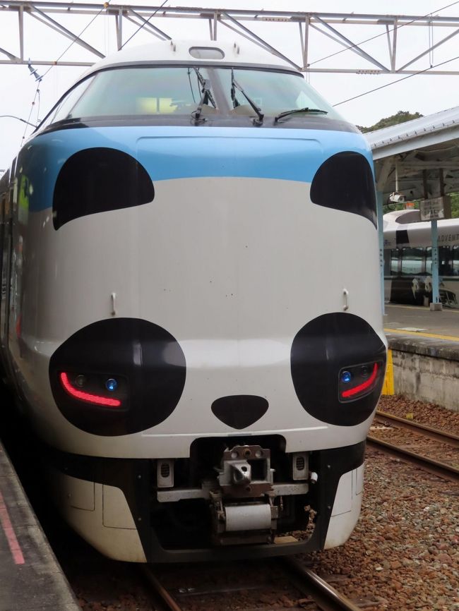 長いこと行きたかった和歌山で 2泊3日を過ごし <br />大好きなジャイアントパンダにもついに会えて <br />すっかり満足しました。<br /><br />あとは帰りなのですが <br />JRで白浜から東京までの片道切符を買ったので <br />もったいないから 大阪で1泊 京都で1泊を <br />加えることにしました。<br /><br />この(8)は 泊っただけの大阪の夜の旅行記です。<br />新型コロナが大阪で感染者が増えていて怖かった時期だったので <br />観光はしないで すぐに京都へ行ってしまいました。