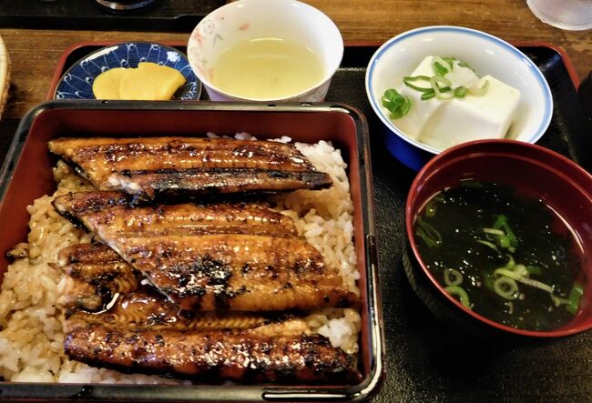 近郊への旅人も、やや増えてきたようだ。<br /><br /><br />昨日(21日)は『土用の丑の日』。<br />せっかく四万十まで来たのなら“鰻”を食したい。<br />清流を愛でながら、舌鼓をうつぜよ!<br /><br /><br />川と山を抜け、海まで走る。<br /><br />さらに、海岸沿いに南下する。<br />頬をなでる潮風が気持ち良い。<br /><br />