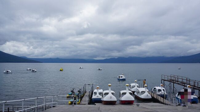 北海道：千歳を日帰り旅行です。<br />今回は美食旅行にしたくて、自分なりに色々食べよう～！と計画。<br /><br />札幌の友人と一緒にランチすることになり、<br />「札幌大通りのビアガーデン、13000席から252席に縮小だけど7/31からだって、行ってみる？」とか（夫に反対され却下）、「レンタカー借りて登別とか苫小牧行ってみない？」（友人の無反応さで却下）とか検討し、<br />「空港に一日いてジンギスカン食べて空港温泉とか入っちゃうか☆」と決まりかけていたところ、神の某4トラさんからありがたいご神託（笑）を頂き、支笏湖に行くことになりました。<br /><br />８月２日<br />飛行機<br />ANA987（06:15）羽田→新千歳（07:45）SV45（9,760円）<br />ANA82(20:30)新千歳→羽田（22:10→21:50）SV45(13,560円)<br /><br />・羽田のANAスイートラウンジに行く<br />○新千歳「島の人」でバフンウニ丼を食す<br />○空港探検第１弾<br />○支笏湖でランチビュッフェをする<br />・空港探検第２弾　<br />・新千歳でラーメンを食す　<br />・新千歳のANAスイートラウンジに行く<br /><br />