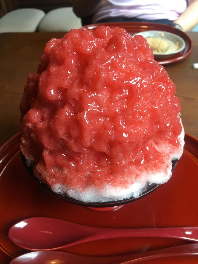 近場で宿泊第2弾!<br />今回は奈良に行ってきました。<br /><br />奈良公園を散歩し、あとはホテルでの~んびり。。。<br />そしてなにより!大仏様に疫病退散祈願をしてきました。<br /><br />疫病に天災と踏んだり蹴ったりな状況ですが、<br />本当に少しでも早く今までの生活が戻ることを祈るばかりです。<br /><br />と共に今ある生活に感謝して暮らしていかないといけない!と強く感じています。<br /><br />ホテルは長崎で宿泊して大のお気に入りになった、<br />セトレグループの「セトレならまち」さんの<br />近畿2府4県在住者を対象とした【STAY LOCAL・SAVE LOCAL】プランでお世話になってきました♪