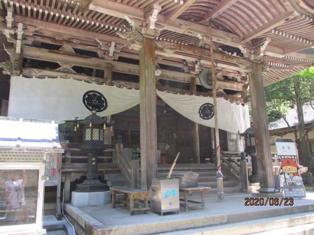 久万高原の山中には2か寺の札所がある。それは今到着したばかりの四十四番札所の大寶寺と次の岩屋寺である。この2ケ寺は午前中の早い時間に済ませ、午後はゆっくり松山市内の各寺を参拝する予定でいたが、ナビの設定ミスにより、ぐるっと大回りして、予定の時間の3倍以上かかってしまった。大寶寺山門の長い石段の前に来た時は、既に10時半になっていた。見ると、この石段の横には参詣者用の駐車場もあり、林道を歩くことも無く、車でここまで来れたのだ。集落の途切れた辺り、林道が始まる手前にあった大宝寺駐車場の大看板、あれは何だったのか・・。林道の道幅が狭く、大型バス用の駐車場だったのかも知れない。<br /><br />ここは菅生山、人里離れた檜の密生する山中にあり、如何にも霊験あらたかだ。最後の長い石段を上がった正面に本堂がある。ご本尊は百済から招来されたと言われる十一面観音菩薩。八十八ケ寺中、数えたことはないが、十一面観音を本尊とするお寺は多い。多分一番多いのではないか。こんな山深い山中のお寺、如何なる事情で天皇家と結びついたのかは知らないが、文武天皇の詔勅によって寺が建立され、後白河天皇は妹宮を下向させ、勅願寺とした、との寺伝も残る。<br /><br />稀代の梟雄長曾我部元親は四国各地の寺社を破却し、焼失させたが、この寺もその例に漏れず、兵火により焼け落ちたが、江戸時代になって松山藩主の帰依を受け、その菩提寺ともなった。この山深い寺に参詣にやってくるのも大変なことだったと思うが、古くは持統天皇の吉野詣で、後白河上皇の十数回にも及ぶ熊野詣で等々と比較したら、同じ藩内の事、それ程でもなかったのか・・。<br /><br />今朝は三日ぶりに朝食を沢山食べた。一昨日は4時起きで、羽田空港で、サンドか天むす。昨日は宇和島駅のコンビニサンド。今朝はホテルでのバイキングでしっかり食べた。食べ過ぎたきらいもあり、お腹が異常気味。本堂、大師堂のお参りもそこそこに、石段下のトイレに急いだ。今朝の朝食もそうだが、昨夜の飲み放題の影響もあったのだろう。不具合の一歩手前だったが、お陰ですっきりした。もう一度改めてお参りしようと、長い石段の前まで来たが、上を仰ぎ、諦めた。又あの長い林道をとぼとぼ下って行かなくてはならいかと思うと、石段を再度登る元気も萎えてきた。本当なら、このお寺には、いろいろと見ておきたい遺跡も幾つかある。芭蕉塚や山頭火の句碑、掘り出し観音、等々。でもやめておこう。次のお寺に急がなくてはならないし、その次のお寺が大変な参道。身体も労わっておこう。<br /><br />