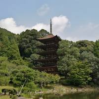 走って湯田温泉～津和野～岩国