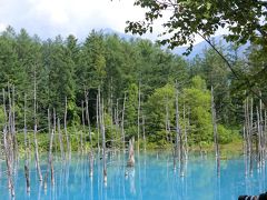 旭川・美瑛・富良野・小樽・弾丸北海道