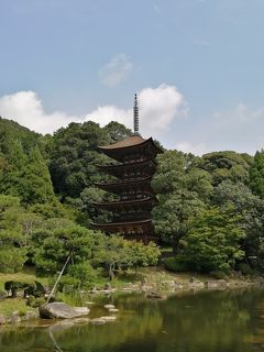 走って湯田温泉～津和野～岩国