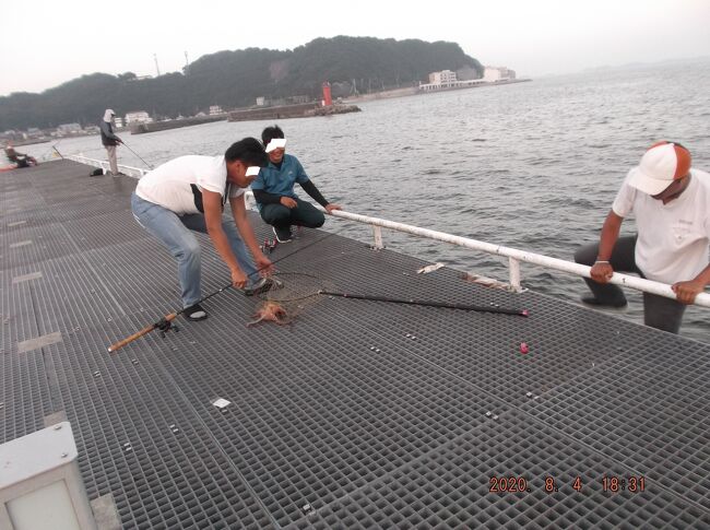 豊浜釣り桟橋８月　もうサバが１個も来ない<br />写真は２００８０４－１８３１．ひだりどなりで大騒動が起こる。私の右側のオジサンが自分が持つ竿を置き、タモをガバッとつかんだら、こんな状況。一段降りてまで、タコを釣ったオジサンを助っ人しました。<br />車中泊13豊浜30アジが釣れた<br />０８０４（火）大潮。満潮１９時。干潮１２時半。<br />０８０５（水）大潮。満潮６時半。干潮１時。<br />橋脚の７つ目で１７時から翌５時半まで。<br />アジ２１－２２センチ４匹。１６－１７センチ３６匹。１４－１５センチ３６匹。ムツ１３－１４センチ６匹。１６－１７センチ４匹。小タイ１２センチ１匹。メバル１６センチ１匹。<br />このうち夕食前までに釣れたのはアジ１９匹と小タイとメバル１匹ずつ。<br />；；；<br />車中泊14豊浜31コノシロが群れでやってきて釣り放題<br />０８１０（月祝）中潮。満潮２２時。干潮１５時半。月の出２２時半。<br />０８１１（火）小潮。満潮１０時半。干潮４時半。<br />橋脚の８つ目駐車場側。１７時前から翌５時まで。<br />サバ３匹アジ２５匹コノシロ１２匹。朝方だけだとサバ１匹アジ１３匹。<br />；；；<br />車中泊15豊浜32アジが１６時に入れ食い<br />０８１７（月）中潮。満潮１７時半。干潮２３時。<br />０８１８（火）大潮。満潮５時。干潮１１時半。<br />桟橋の４つ目手前。１６時から翌５時まで。<br />５６匹のアジで納める。翌朝と合わせて１００匹以上。サバ５匹。主人がメバル１匹とアジ２０センチ１匹。<br />；；；<br />車中泊16豊浜33孫連れて<br />０８２３（日）中潮。満潮２１時。干潮１５時。<br />０８２４（月）中潮。満潮９時半と２１時半。干潮３時と１５時半。<br />橋脚の４つ目で１５時から翌５時まで。<br />孫が帰ってから主人にウミタナゴ１８センチ１匹。私にアジ１８センチ１匹。２人で小さいの１５匹。