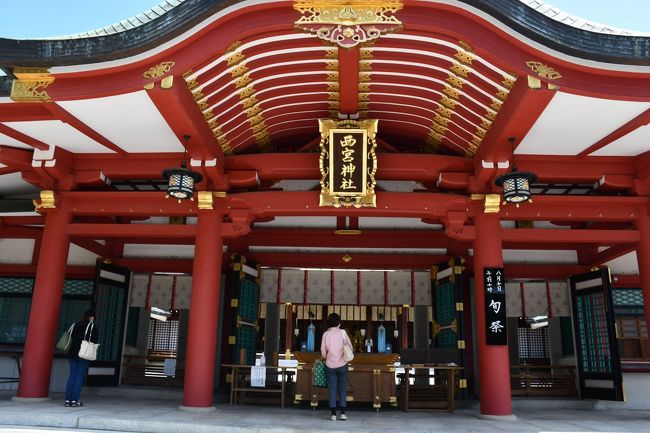 日本全国のえべっさんの総元締めです。そもそも戎神とは、ここ西宮神社のご本尊である蛭子命のことです。七福神のうちでは、えべっさんだけが日本の神様です。ここ西宮神社は、お正月に開門と同時に本殿までの競走で福男を決します。