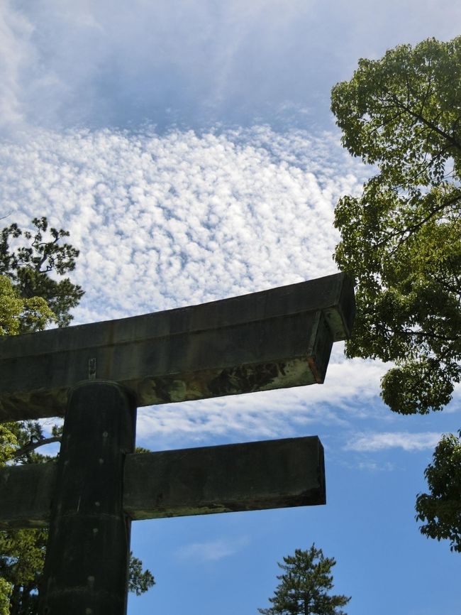 ２０１９　④境港　出雲大社 ダイヤモンドプリンセスで行く日本周遊　夏祭り１２日間