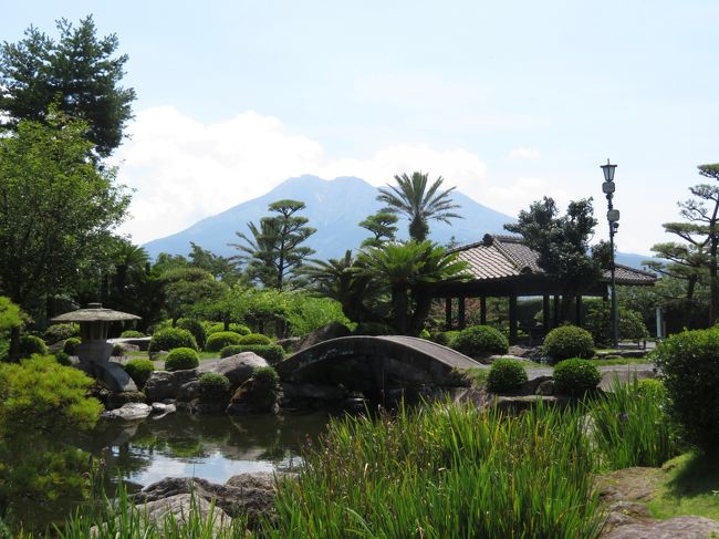 どこかにマイルで鹿児島へ行ってまいりました。ちなみに候補は、那覇・岡山・小松・鹿児島でした。<br />鹿児島訪問は初めてでしたが事前によく調べた為、スムーズに楽しく周ることができました。