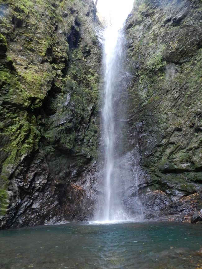 2018年11月、ふっこう割を使って徳島県＆高知県に滝めぐりに出かけました。<br />行きそびれていた滝、もう一度見たいと思っていた滝など、2泊3日の旅程で幾つもの滝めぐりをしました～！<br /><br />《その５》<br />「雨乞の滝」を再訪した後、前回（2008年1月）に神山町に来た時に積雪のために行けなかった『神通滝』をリベンジ訪問しました。