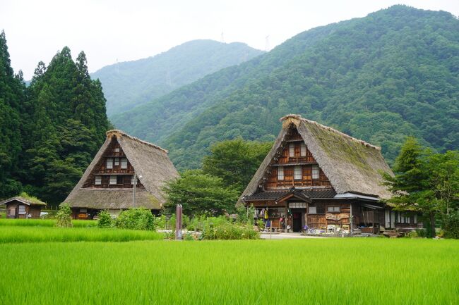 世界遺産に登録された合掌造りの集落は白川郷と五箇山。その独特な山里の風景は、日本の世界遺産を代表するものの一つというくらい有名です。<br />ただ、私は、これまで、春と冬の白川郷に行ってますけどそこまでのいい印象はない。豪雪地帯で暮らしやすいようにと作られた茅葺き屋根の掌を合わせたような三角形の大きな家は、江戸時代から明治にかけてのもの。屋根裏の作業スペースが広くとって養蚕をしたり、鉄砲の火薬の原料となる塩硝を作っていたのは特徴的かもしれませんが、それでも、それで歴史が動いたわけでもないでしょう。まあ、だから何？という感じかな。私が興味を持ってやまない歴史とか文化というのはお互いに影響し合って何かを生み出していってなんぼという世界。人里から離れて世の中の動きとは隔絶された生活をする環境ですから、そこからするとまったく相反するものを感じてしまうんですね。<br /><br />しかし、そんなに頭を固くしても仕方がない。そもそも、旅は郷に入れば郷に従えの精神が大事。そう思い直して、ちょっと特殊な環境の中でも綿々と営まれた生活のありさまをそのまま味わってみるのも意味のないことではないかも。五箇山は初めてだし、白川郷ではうまくキャッチできなかったそこのところを少し素直に感じてみようと思いました。<br /><br />ところで、五箇山の世界遺産登録は相倉合掌造り集落と菅沼合掌造り集落の二つ。菅沼合掌造り集落の方は9戸の合掌造り家屋が集まるごく限られた一角なんですが、対して、相倉合掌造り集落の方はもう少し大きくてお土産物屋さんやお茶屋さんなんかもさらに充実しています。どちらも、お勧めは展望所かな。集落の全景を見渡せるのですが、山々に囲まれた一角にある集落のロケーションと合掌造りの家が微妙にあちこちを向いていてちょっと不規則のようなのですが、それでいて全体としての調和がなくもないて、それなりに楽しめます。まあ、それでも、白川郷と比べるとかなり小規模ですが、こちらはこちらでひなびた山里の感じを楽しめばいいと思います。