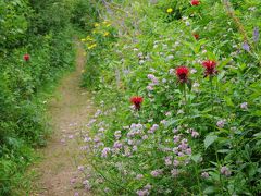 北海道滝上町の陽殖園　山そのものが秘密の花園