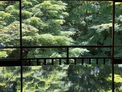 京都・瑠璃光院の青もみじ。久々のお出かけです。