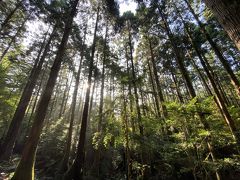 屋久島アースフィール系旅行②